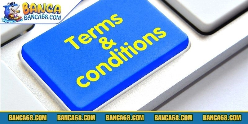 Cơ sở hình thành điều khoản điều kiện